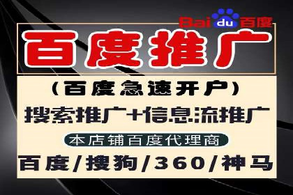 SEM竞价优化策略：成功案例解析