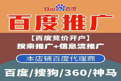 SEM托管公司案例分析：实战技巧全解析